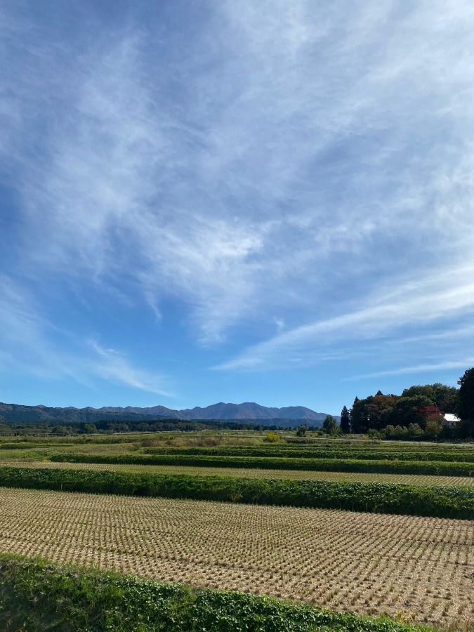 庄内平野☀️☀️☀️