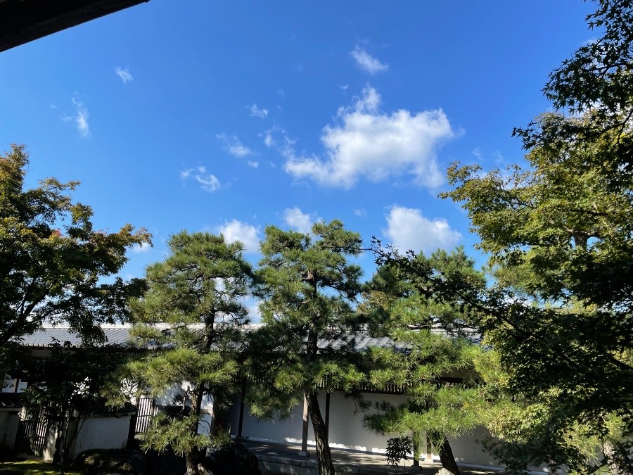 今日の山口の空😆