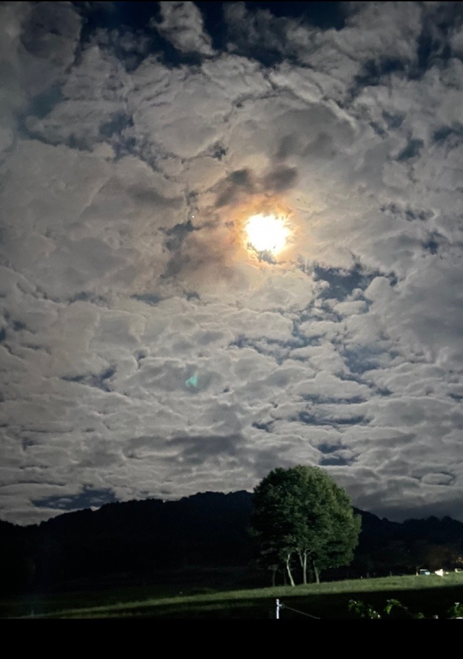 月夜と雲