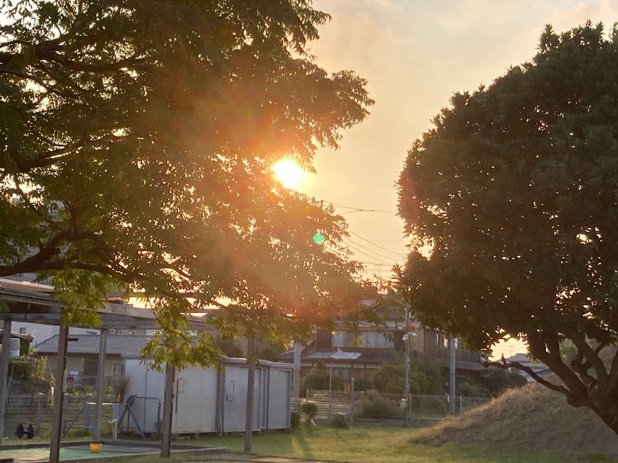 今日の夕陽