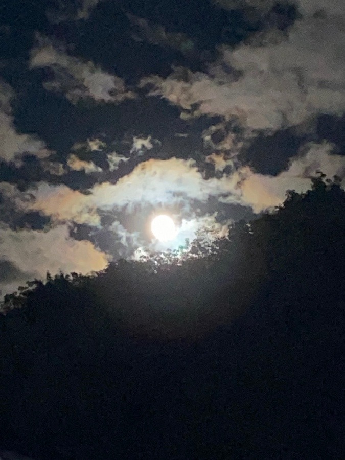 十三夜🌕🌕🌕