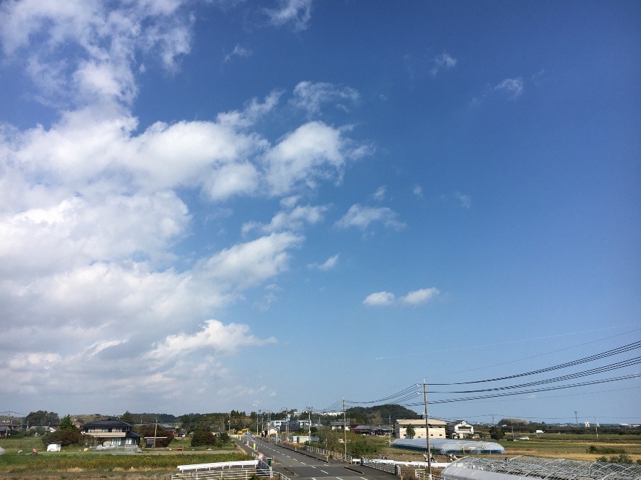 ⭕️空部→   いま空（≧∇≦）‼️207.