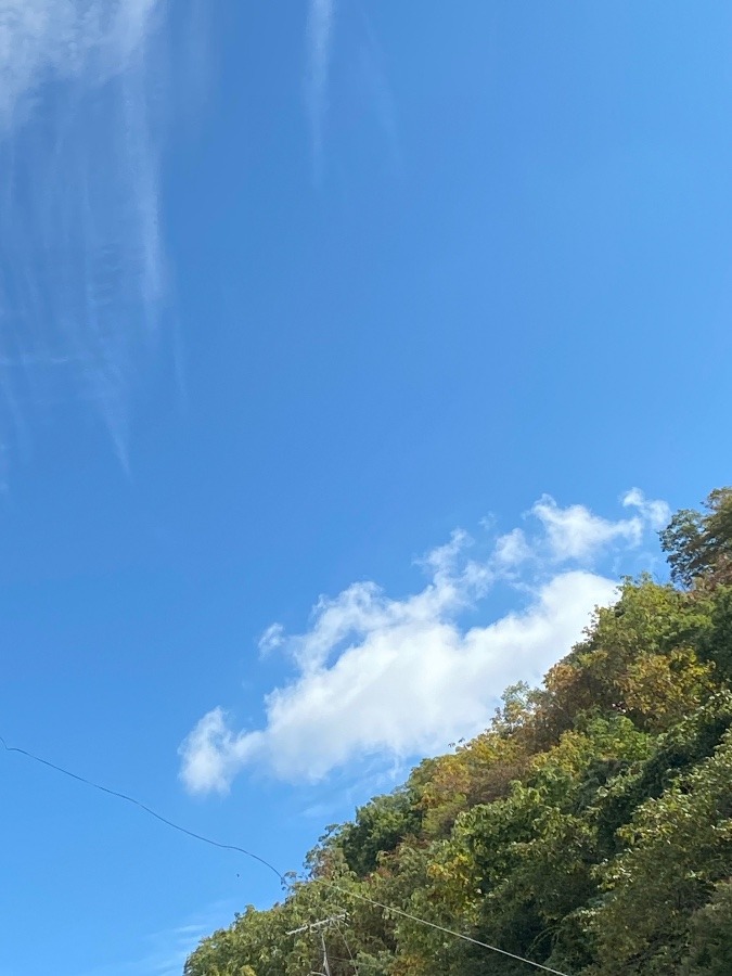 お昼の空と雲❗️