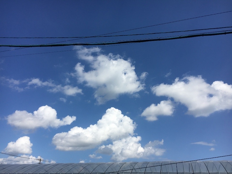 ⭕️空部→   いま空（≧∇≦）‼️165.