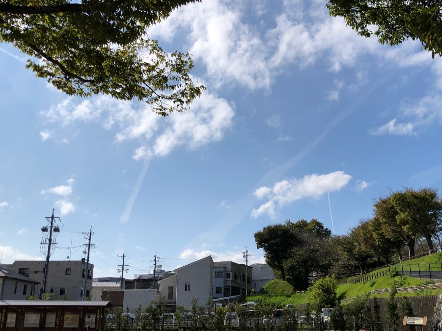 浜松城公園からの空