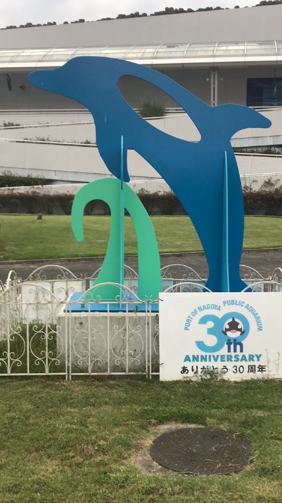 名古屋港水族館〜🐬