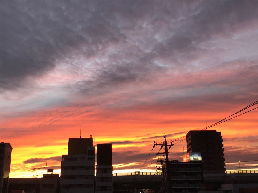 夕焼け空🌆