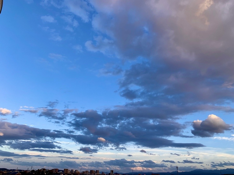 今日の空