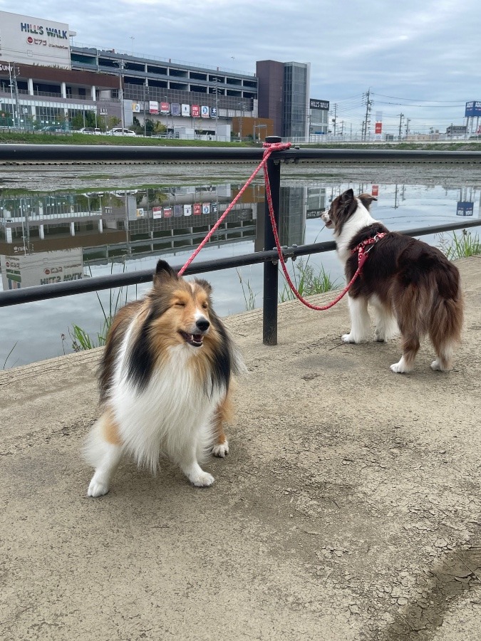 三連休⁉️