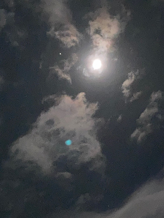 月星曇