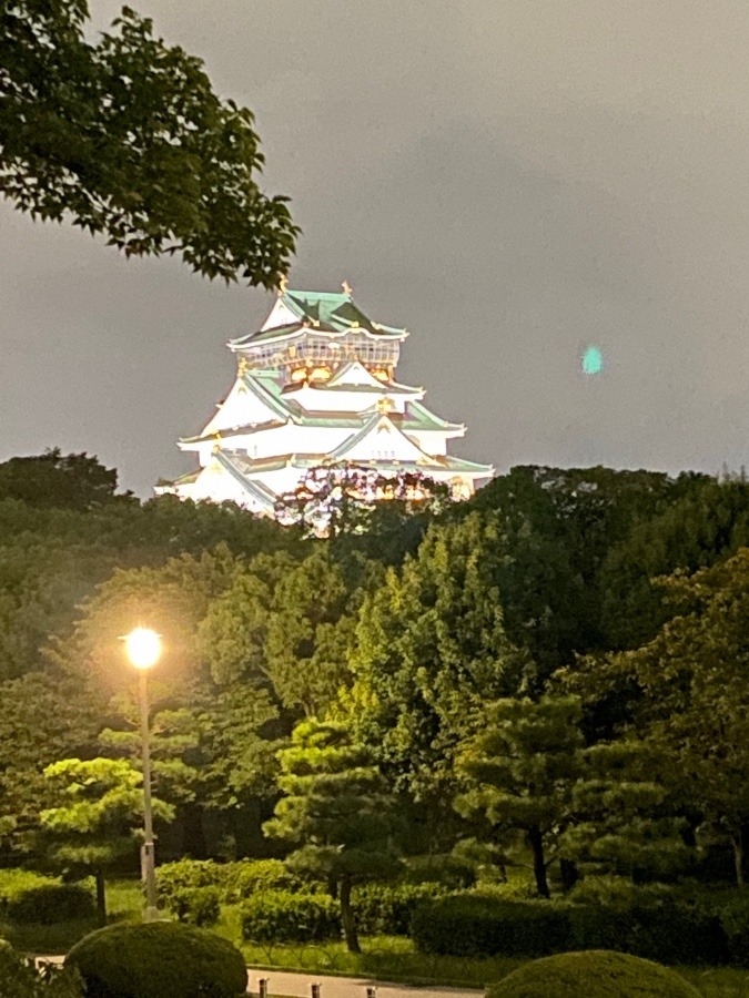 今日の大阪城