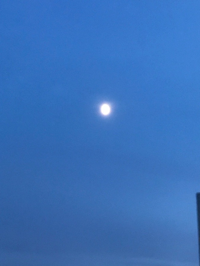 今夜のお月さん🌔