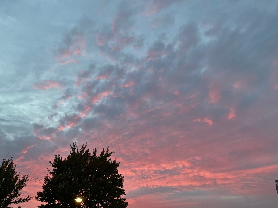 今日の夕焼け空☁️