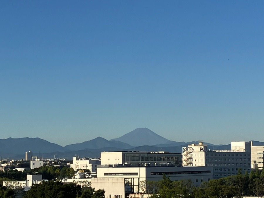 今朝の富士山