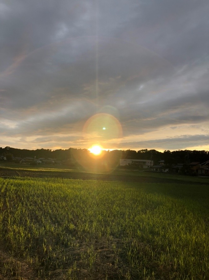 ☀️夕陽🌤