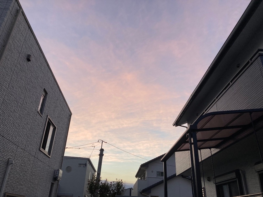 今日の夕陽