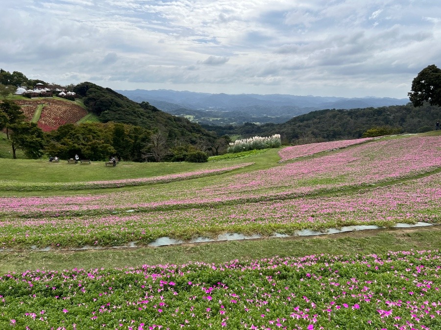 自然豊か