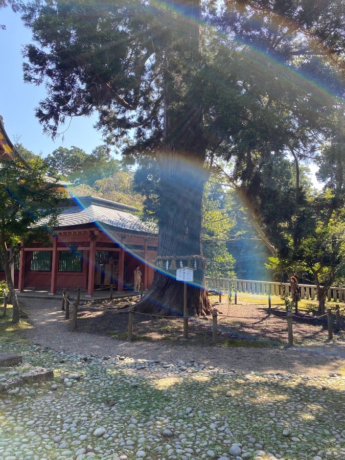 神社参拝☀️☀️☀️