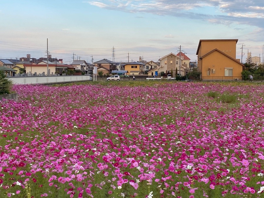 素敵な風景✨