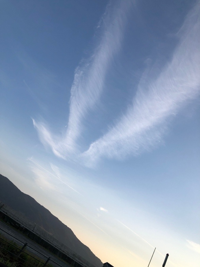 鳳凰が飛び立つ雲