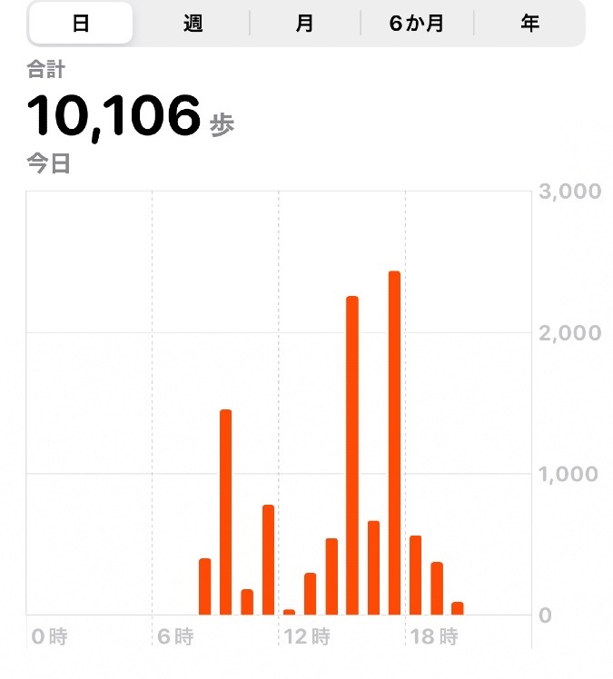 10106歩　ウォーキング10/19