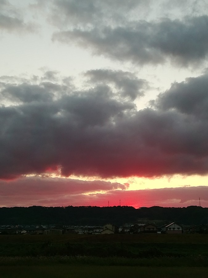 今朝の空