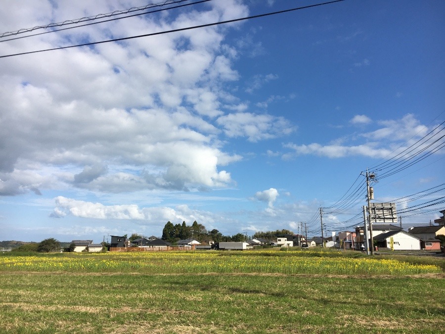 ⭕️空部→   午後の空（≧∇≦）‼️203.