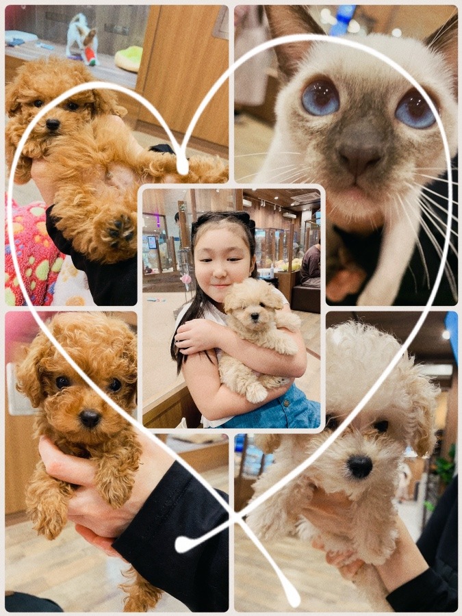 🐩🐈‍⬛ 癒し…🥰