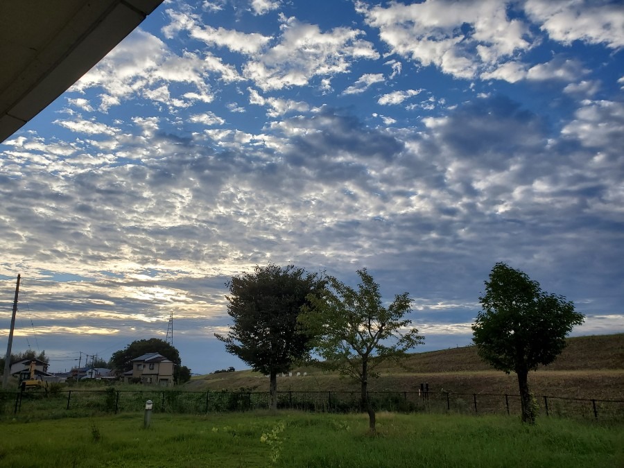 今日の空☁