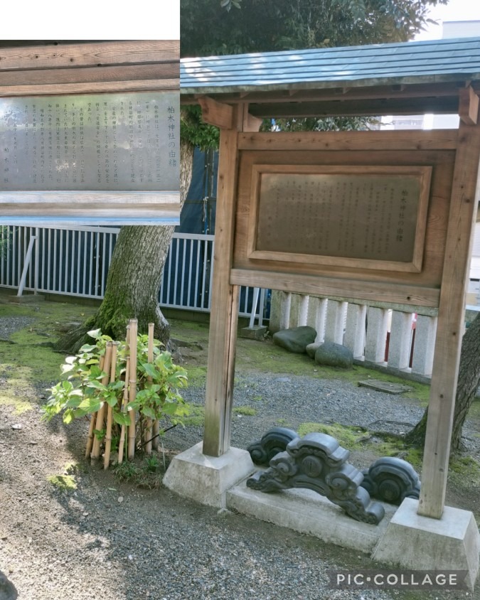 歴史のある神社