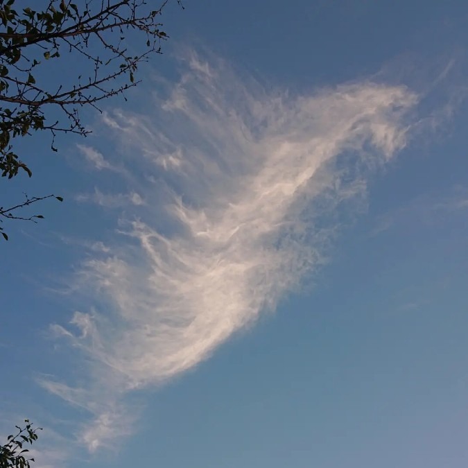 今朝の空