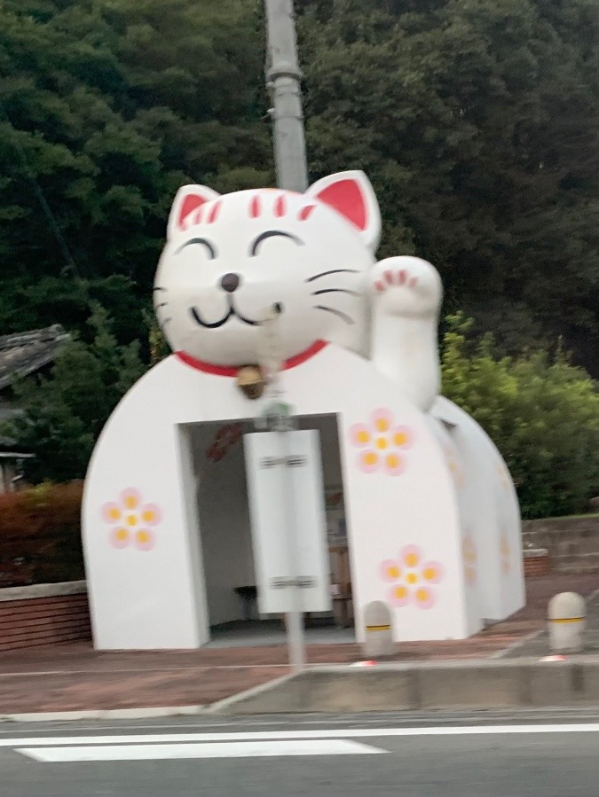 ⓶ これなんだ❗️ 🐈