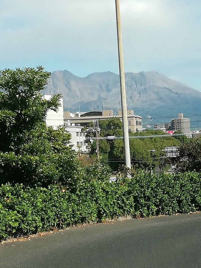 今日の桜島!