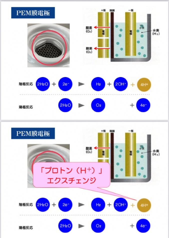 バイオファクターH説明画像❾