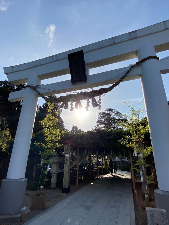 神社参拝⛩⛩⛩