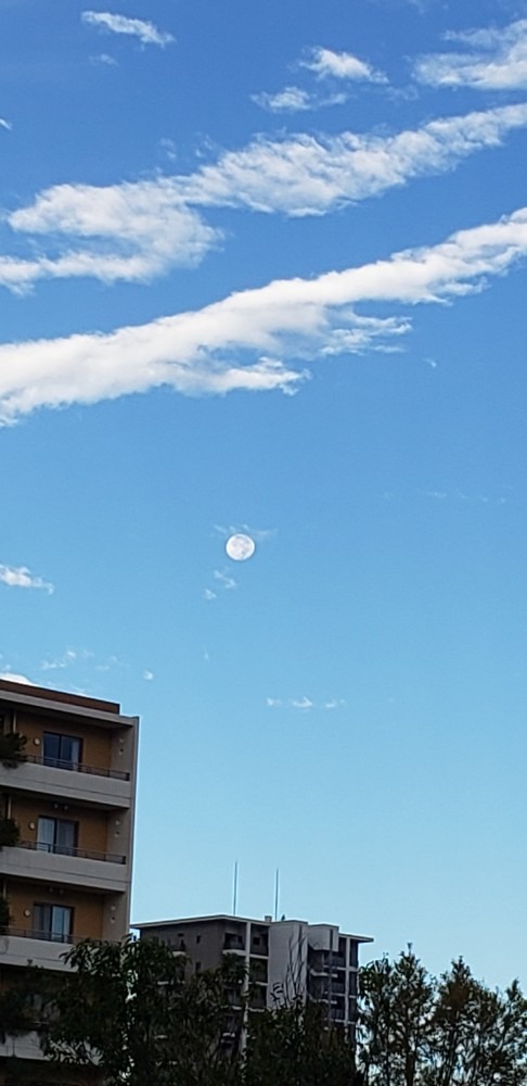 青空に浮かぶお月さま🌕