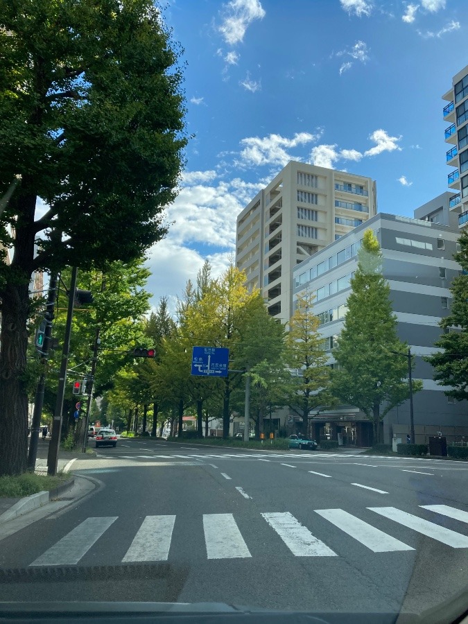 11月30日(日)は大学女子駅伝❣️