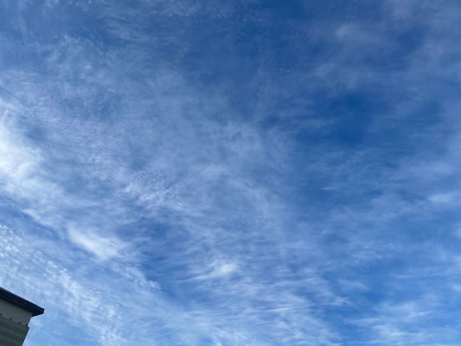 今朝の空