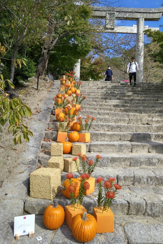 竈門神社へ‼️