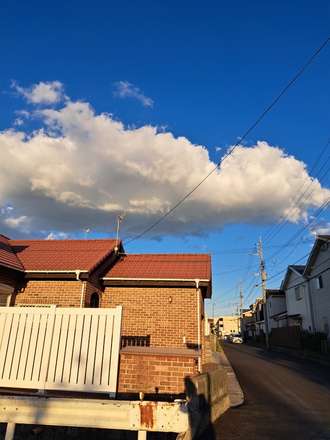 着陸態勢ですか