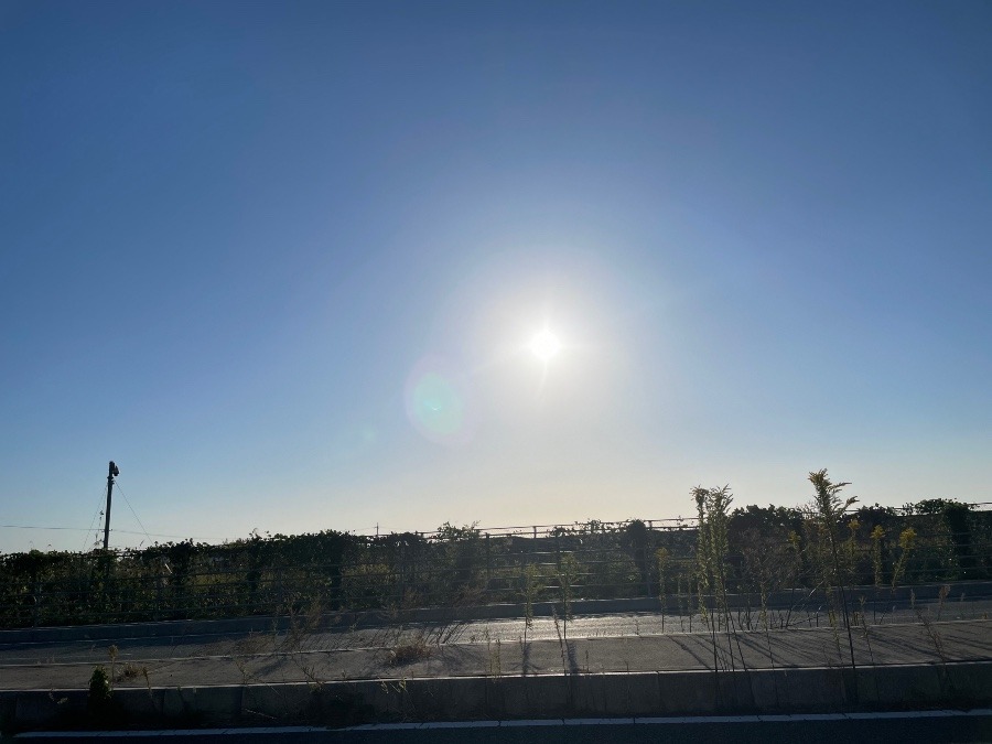 朝の空8時