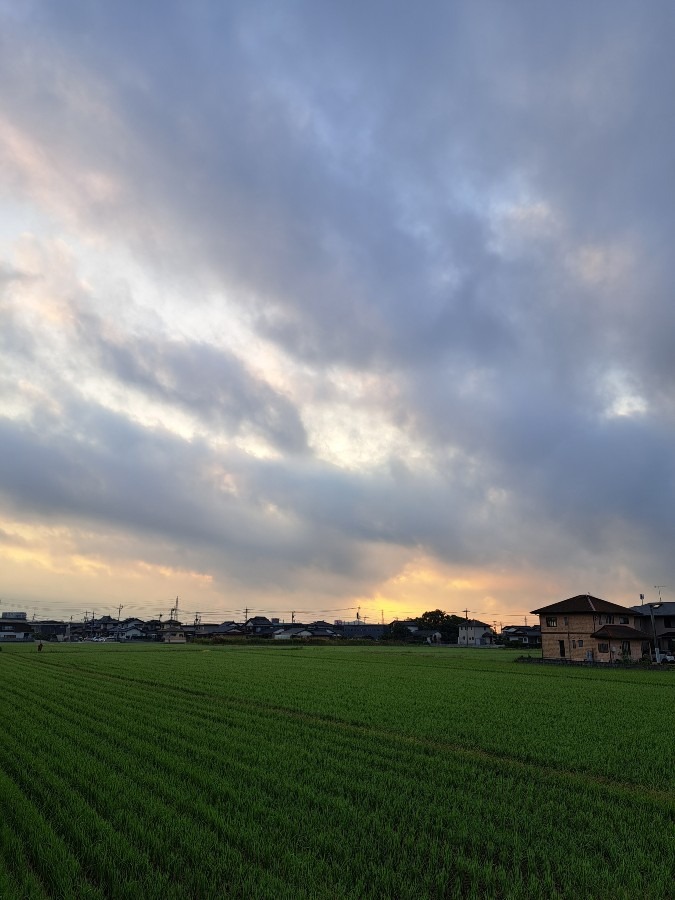 10/15　今朝の空