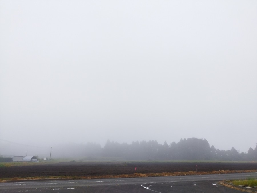 都城市（2022/10/2）自宅前、霧が深いです😅❗（南の空）