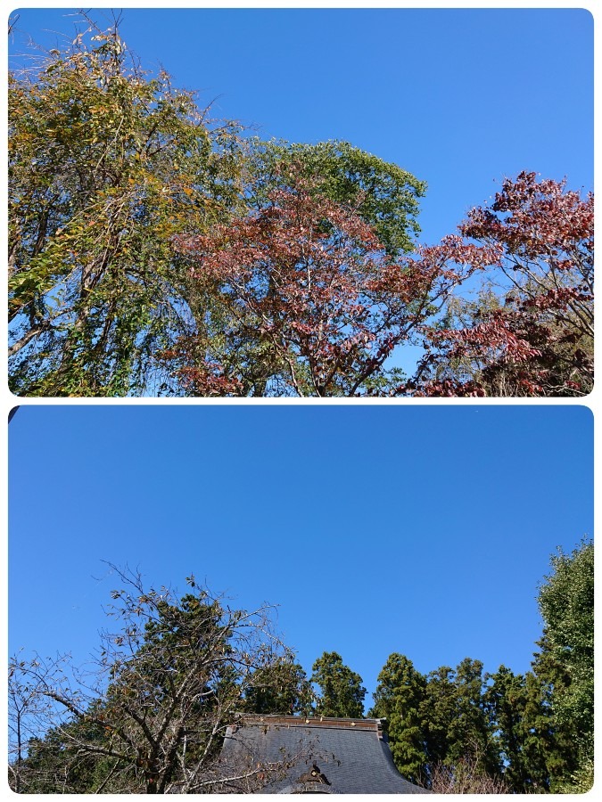 今日の空