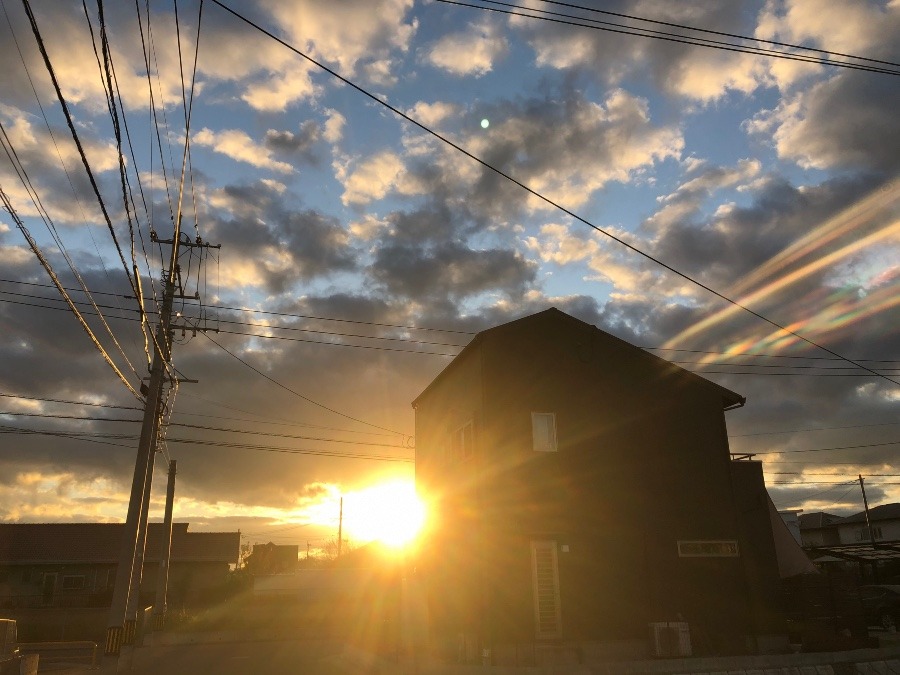 今日の朝陽❣️