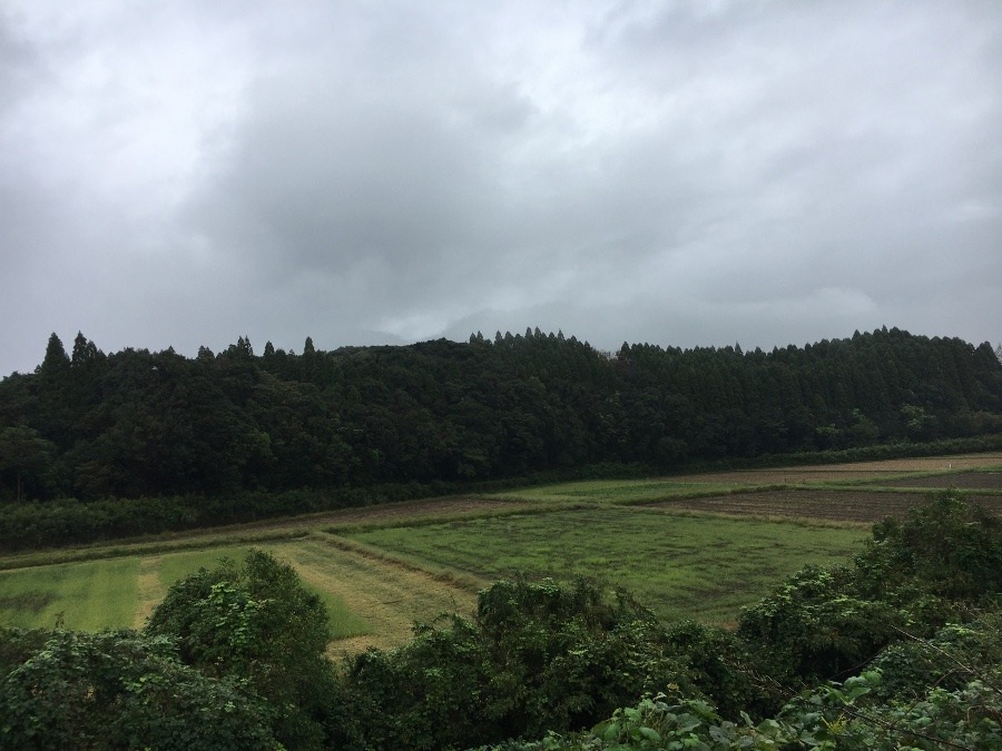 ⭕️空部→   いま空（≧∇≦）‼️194.