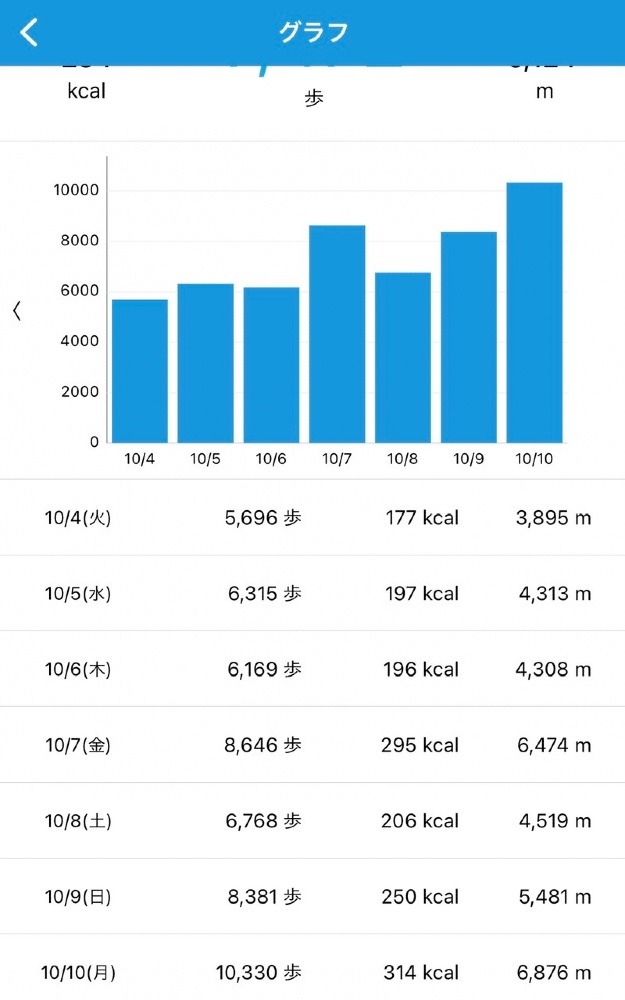 10330歩　10/10
