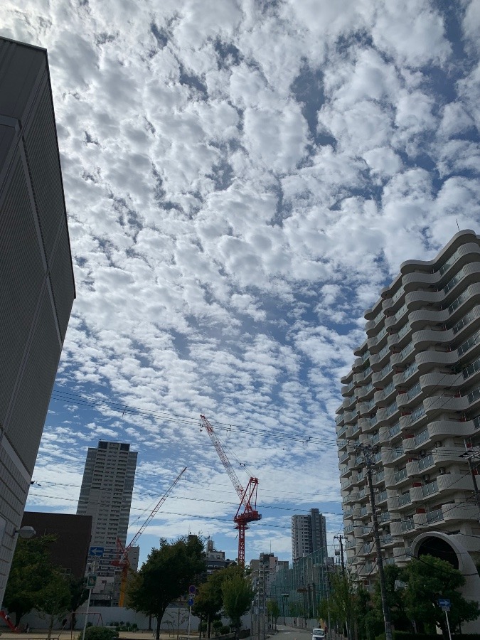 今日は、色々と飛んでる〜