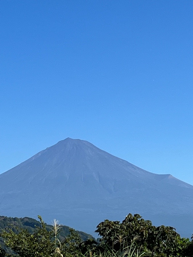 佳き日に✨