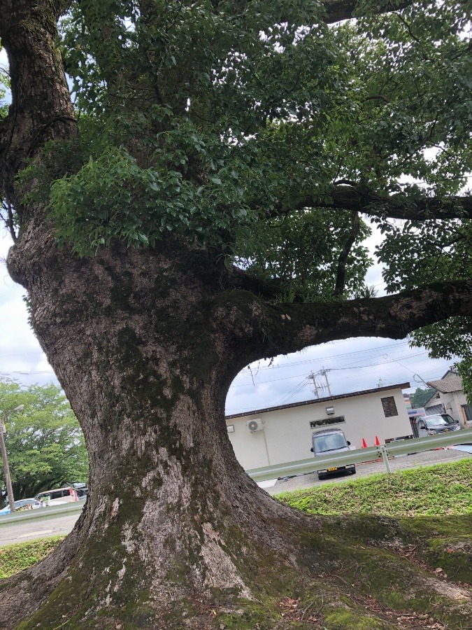 空いた時間